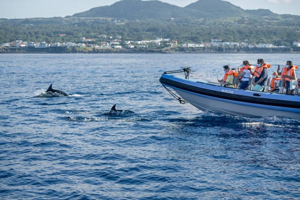 FinX' : un moteur de bateau électrique qui s'inspire de la nageoire du  dauphin