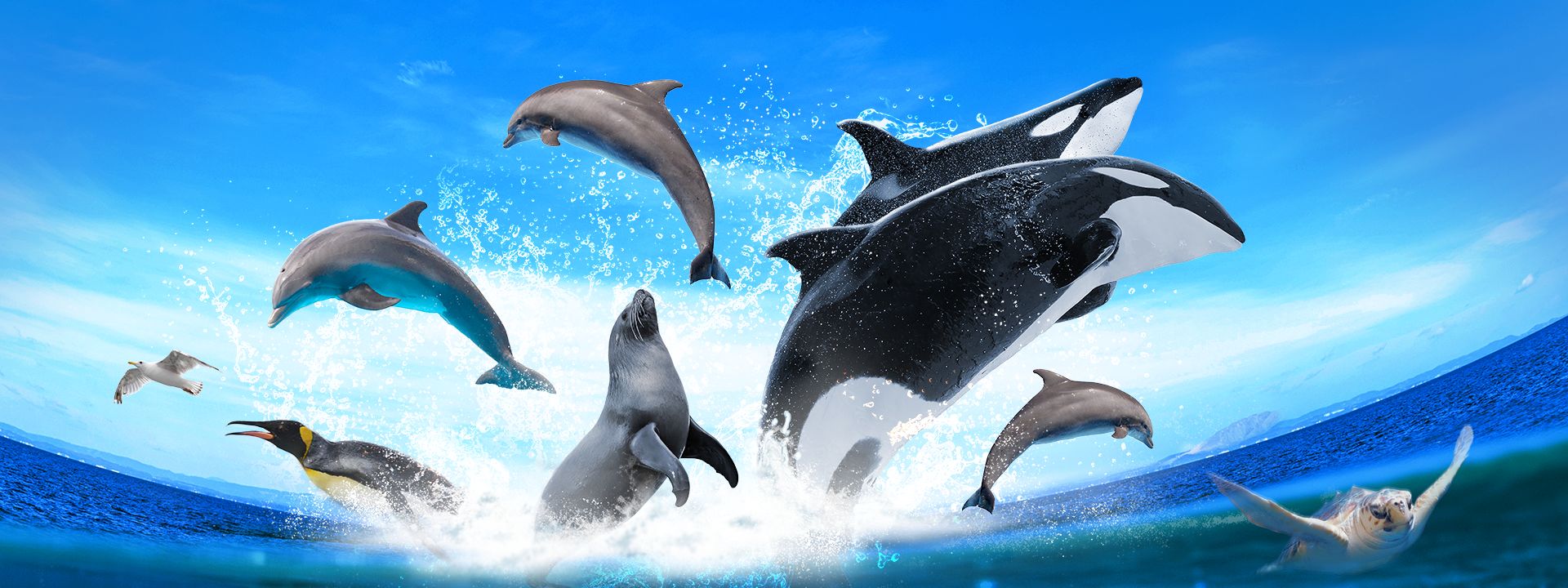 Marineland d'Antibes - le plus grand zoo marin d'Europe